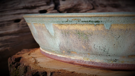 Bonsai Pot Gallery 10002