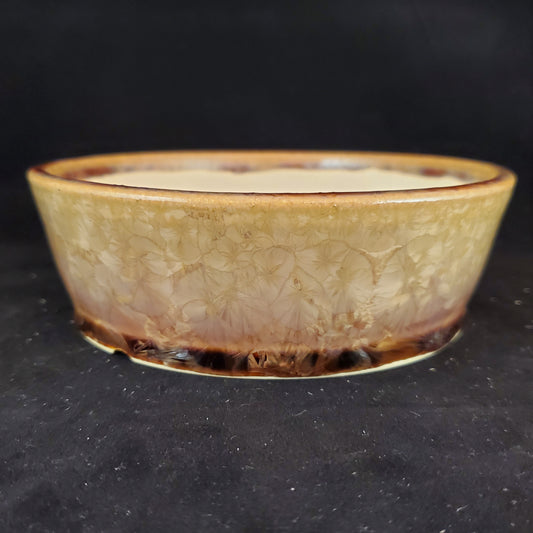 Bonsai Pot Round 10-22-1013