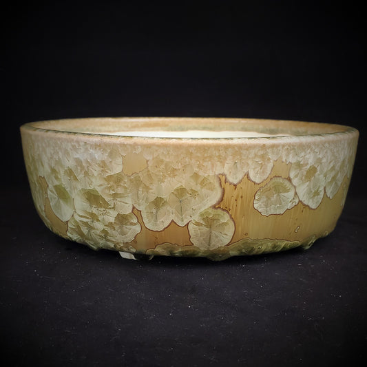 Bonsai Pot Round 10-22-1031 [8x2.5]