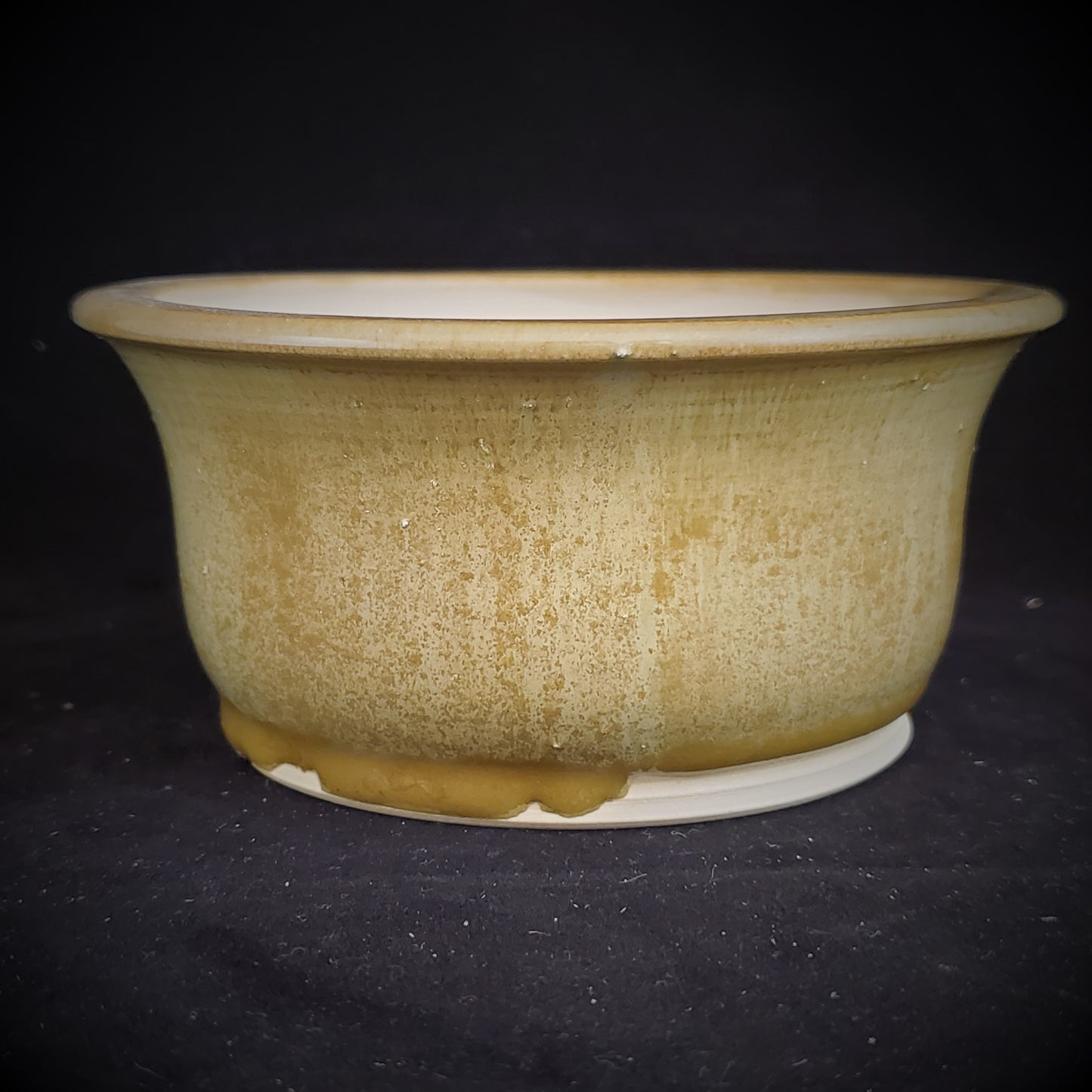 Bonsai Pot 10-22-1039 [5x2.5]