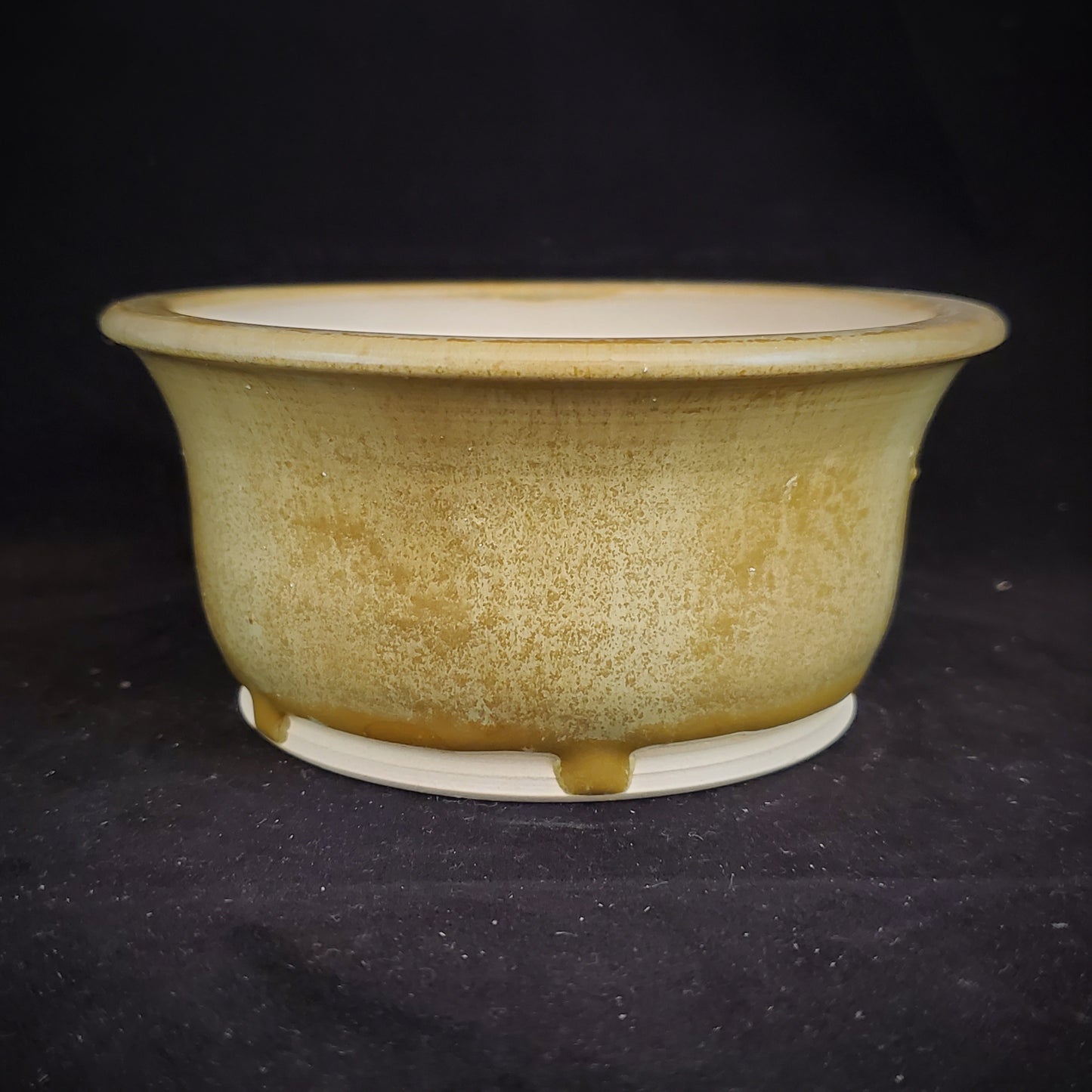 Bonsai Pot 10-22-1039 [5x2.5]