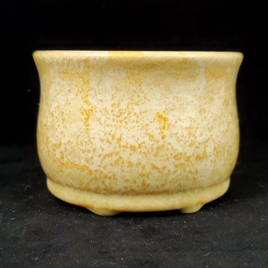 Bonsai Pot 11-22-1002 [4x2.75]
