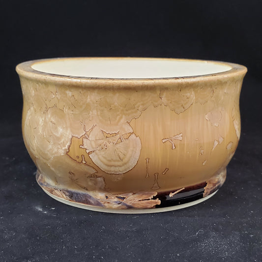 Bonsai Pot 11-22-1004 [5x2.5]