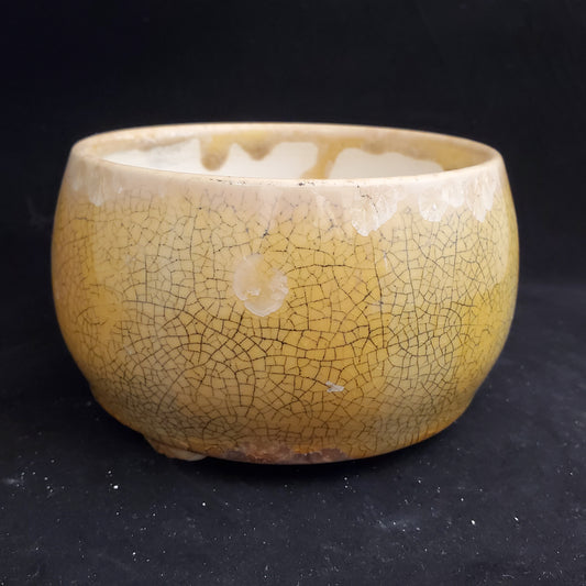 Bonsai Pot 11-22-1010 [5x2.75]