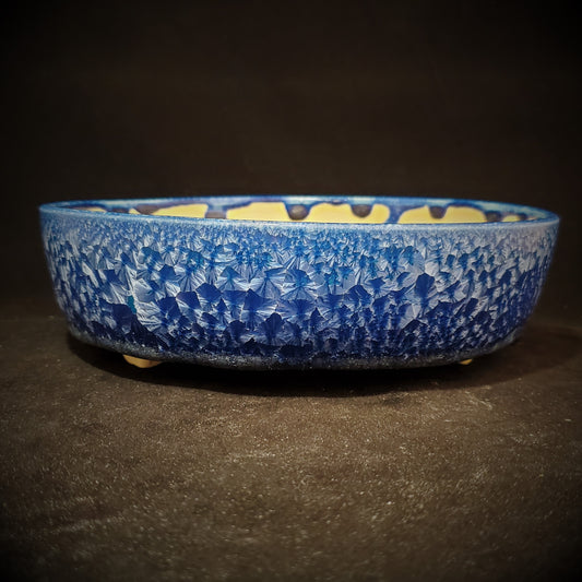 Bonsai Pot 11-22-1013 [7.5x2]