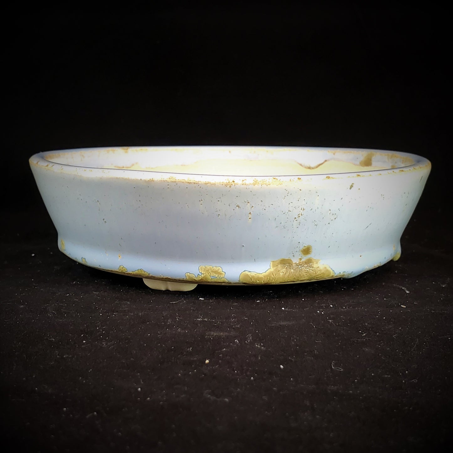 Bonsai Pot 11-22-1023 [6x1.75]