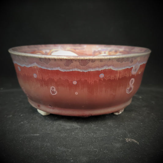 Bonsai Pot Round 2-23-1009 [6x2.5]