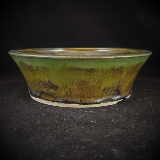 Bonsai Pot Round 2-23-1018 [8x2.5]