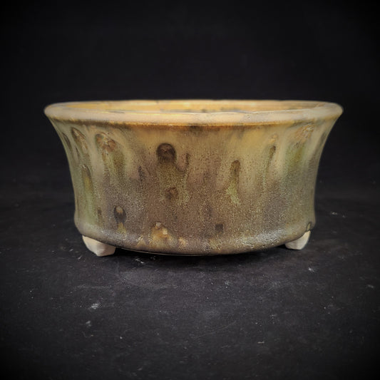 Bonsai Pot Round 2-23-1028 [6x3]