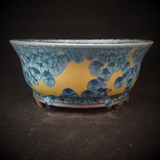 Bonsai Pot Round 3-23-1046 [7.75x3.5]